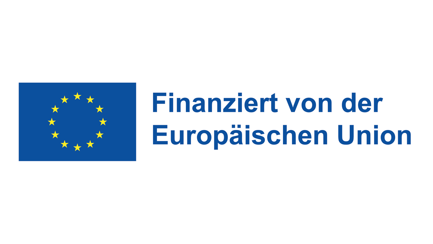 Finanziert von der Europäischen Union