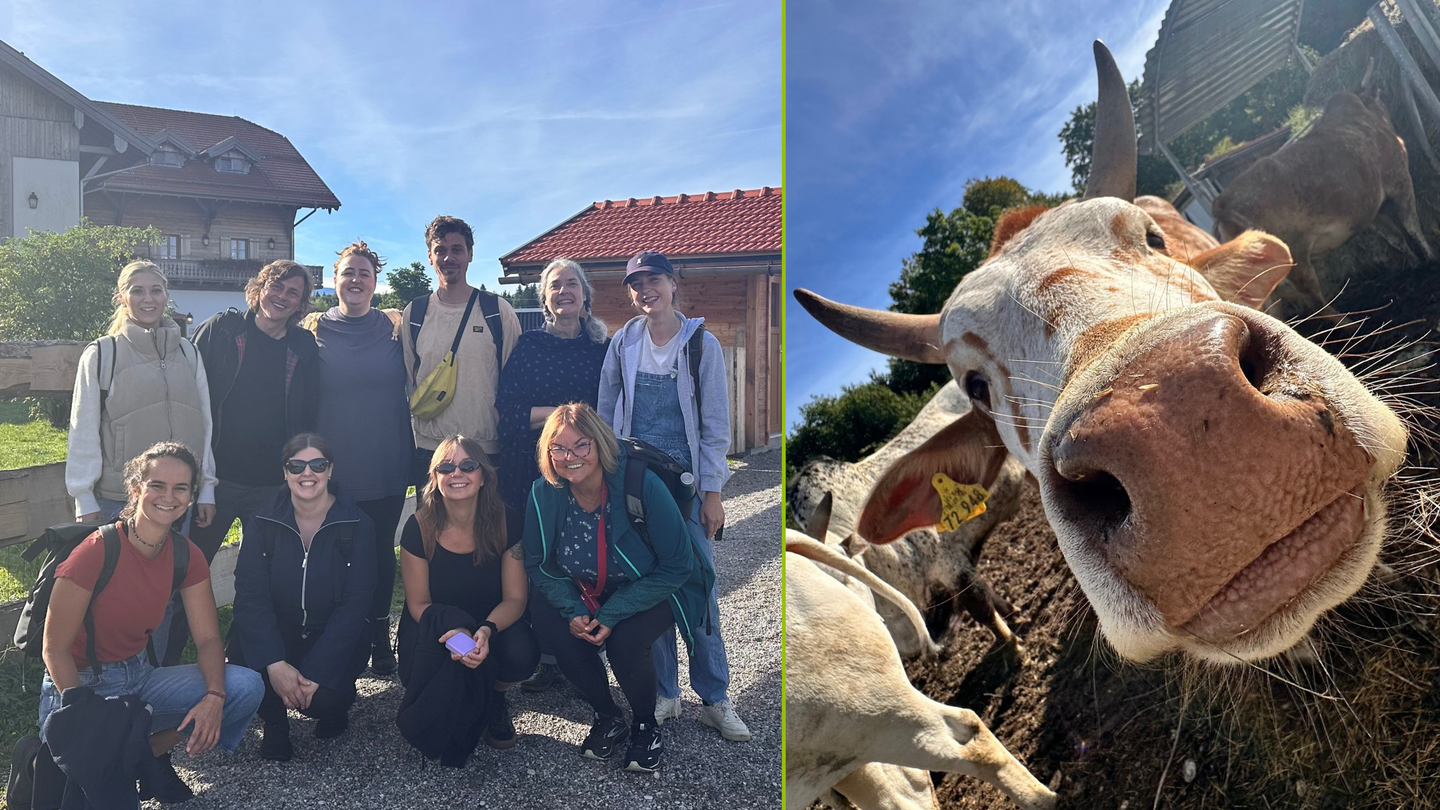 Team, das am Ehrenamtstag auf einem Gnadenhof mithilft